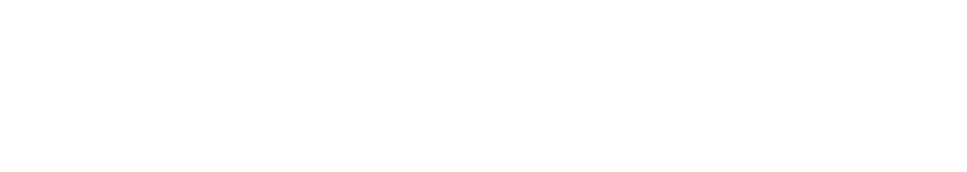 Högert Technik