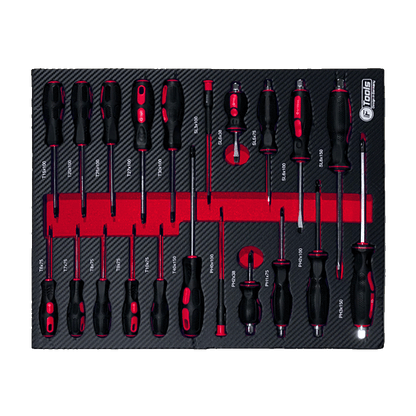 A complete set of FTools professional SL PH and Torx workshop screwdrivers with black and red handles inside a foam organizer.