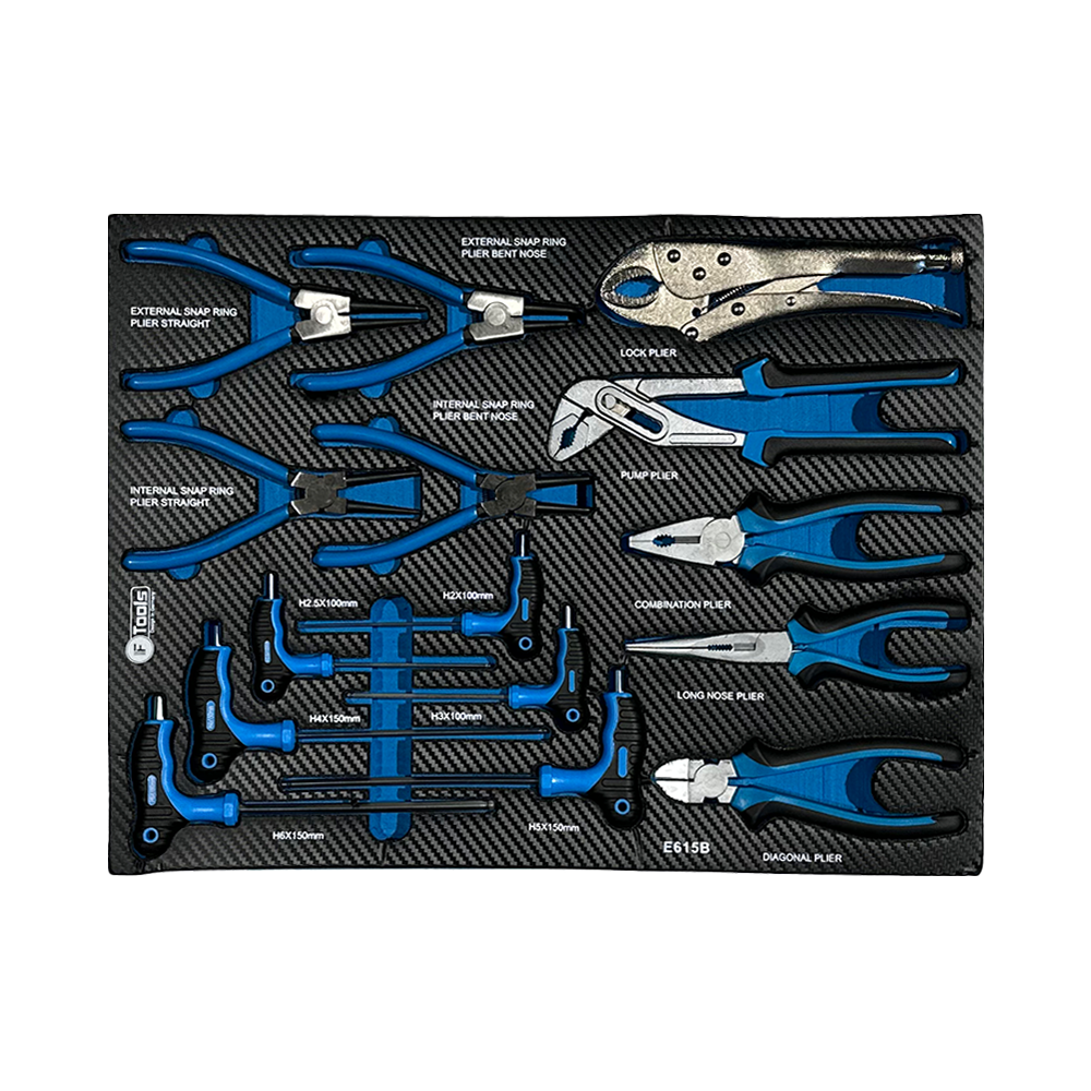 Workshop drawer insert containing FTools circlip pliers combination pliers side cutters locking pliers water pump plier and T-handle HEX keys.