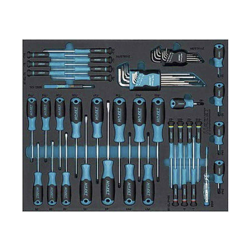 Precision screwdrivers, Torx hex keys and bits in HAZET 163D-6/53N two-component foam inlay.