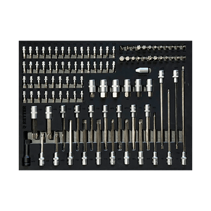 Comprehensive bit and bit-socket set organized in an EVA foam insert including Torx HEX Spline PH and SL precision bits.